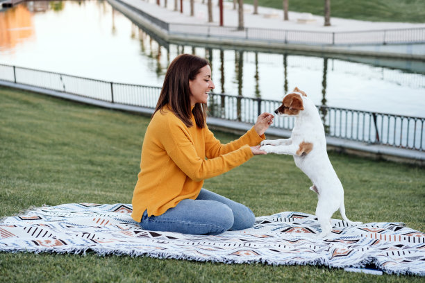 秋天的时候，一个女人和杰克罗素狗在公园里玩耍，坐在毯子上。女人给狗喂食。宠物与爱的概念图片下载
