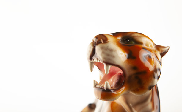 图片的老虎白色的背景图片下载