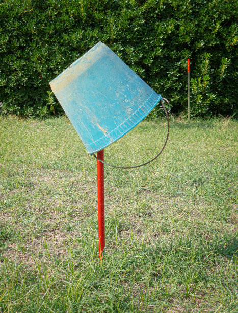 花园里五颜六色的东西图片下载