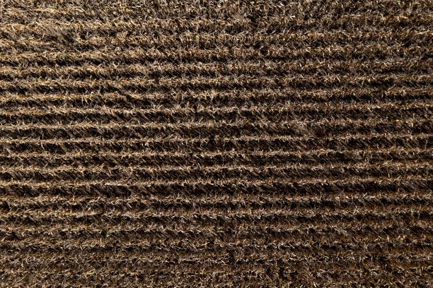 玉米田的农业鸟瞰图，魁北克，加拿大图片下载