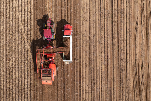 收获新鲜马铃薯的拖拉机、卡车和农业机械的鸟瞰图图片下载