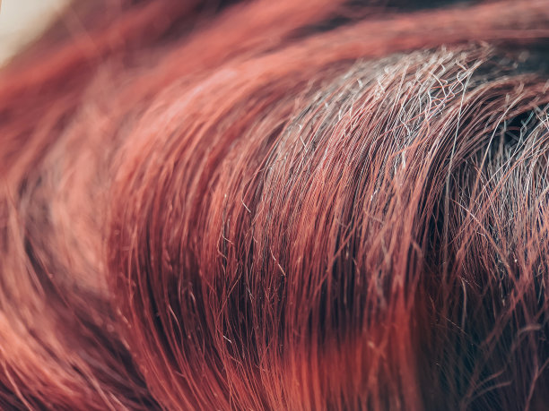特写的趋势绺红色kanekalon假头发图片下载