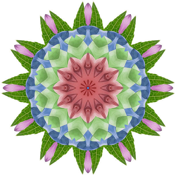 曼荼罗由压干的花、花瓣制成。曼荼罗是佛教、印度教、瑜伽的象征。装饰曼荼罗与图案花卉元素在东方风格放松和冥想图片下载