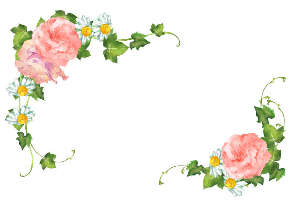 水彩粉红色的花与洋甘菊图片下载