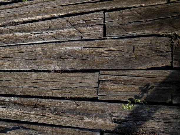 背景是旧木地板。图片下载