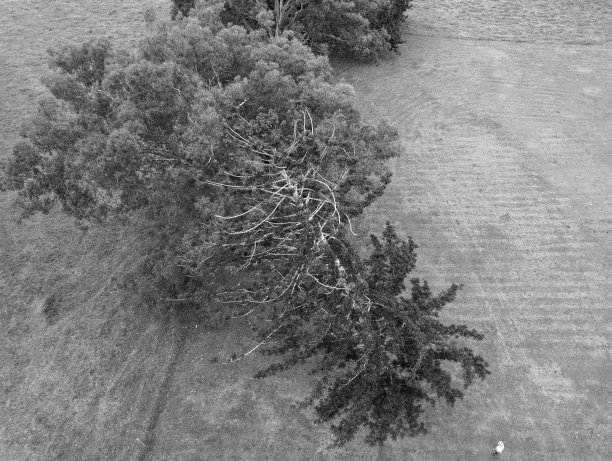 无人机空中图片下载