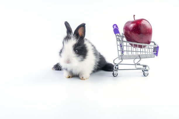 可爱的小兔子坐在购物车旁边，新鲜的红苹果，站在孤立的白色背景。刚出生的兔宝宝在购物车里看着什么东西。复活节和网上购物。图片下载