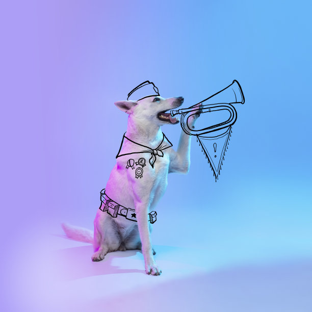 当代艺术品。一个可爱有趣的狗像童子军孤立在蓝色工作室背景霓虹灯与图纸。图片下载