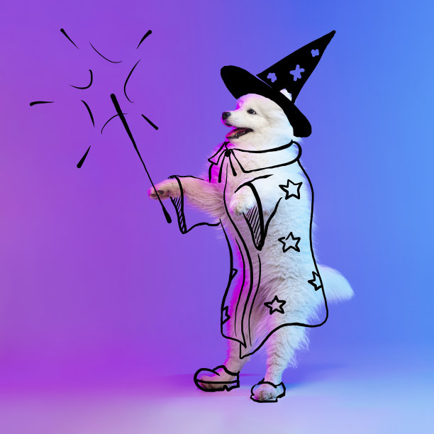当代艺术品。一个可爱有趣的狗像魔术师孤立在紫色的工作室背景霓虹灯与图纸。图片下载