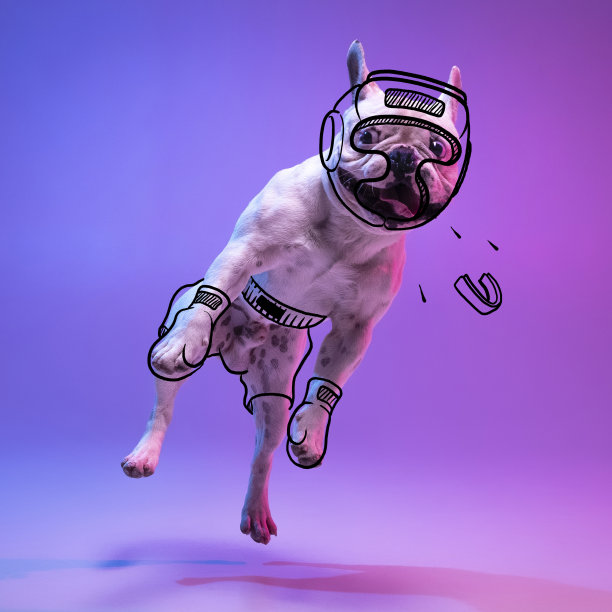 当代艺术品。一只可爱有趣的狗像拳击手在拳击场孤立在紫色工作室背景霓虹灯与图纸。图片下载