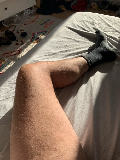 一个阳光明媚的冬日早晨。图片下载