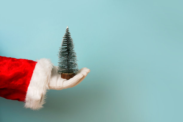 圣诞老人的手握着蓝色背景上的小圣诞树，复制空间图片下载