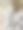 老树纹理的特写镜头图片下载
