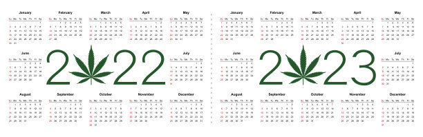 2022年和2023年的大麻日历。医疗大麻。简单的向量模板。图片下载