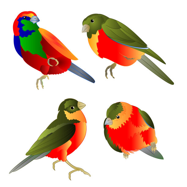 热带鸟类水彩画在白色背景上的四个矢量插图编辑vintage集图片下载