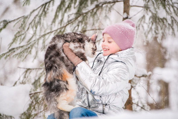 冬天森林里的雪地里，小女孩抱着一只猫坐在那里图片下载
