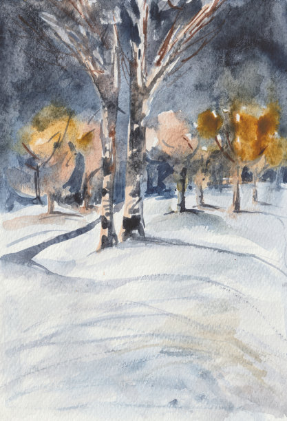 夜景描绘的是松树和桦树图片下载