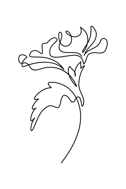 芙蓉花图片下载