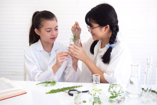 两个小女孩正在实验室里学习研究和做化学实验。观念良好的做法和科学教育对儿童的支持。图片下载