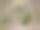 无人机视角。抽象摄影的鸟瞰图。风景与美丽的纹理背景。葡萄牙亚速尔群岛的Sao Miguel岛。色彩斑斓的自然形状。图片下载