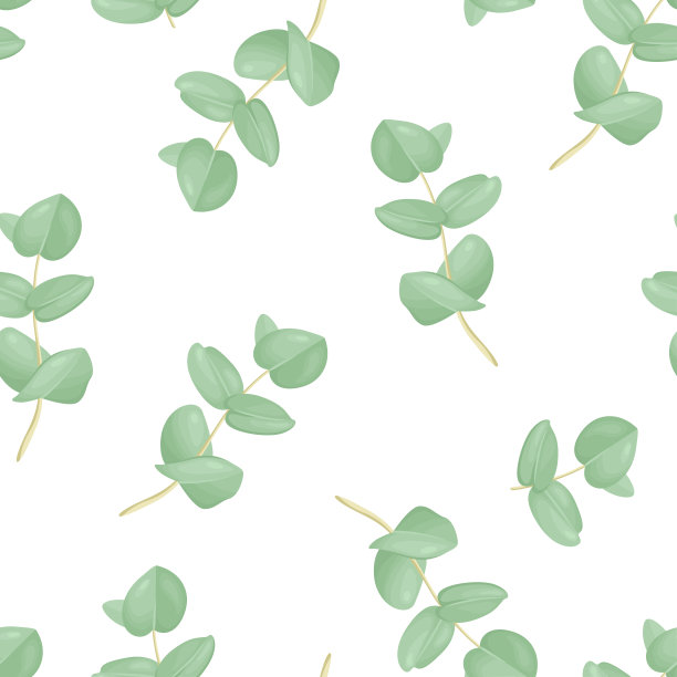 桉叶无缝格局。药用植物的绿色枝。植物的背景。矢量卡通平面插图。图片下载