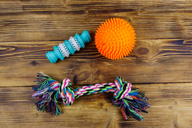 木制背景上的狗玩具。俯视图图片下载
