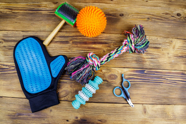 木制背景上的狗狗玩具和配件。前视图。宠物护理的概念图片下载