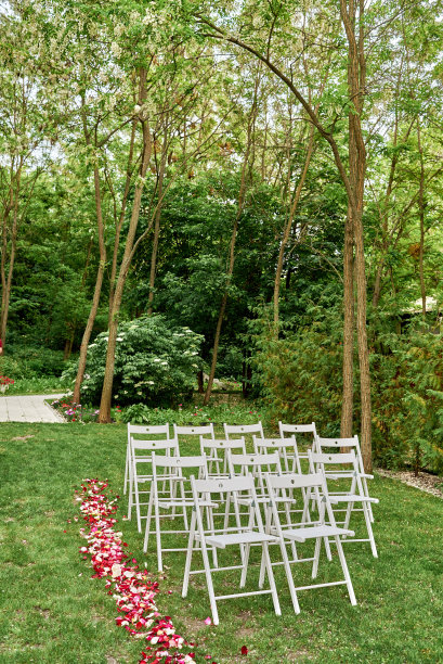 白色的婚礼椅与新鲜的玫瑰花瓣在拱门外的每一边，复制空间。在花园的绿色草坪上为客人准备的空木椅图片下载
