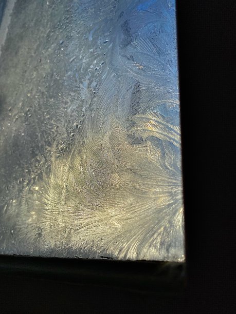 冰冷的羽毛图片下载