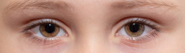 两只眼睛的特写图片下载