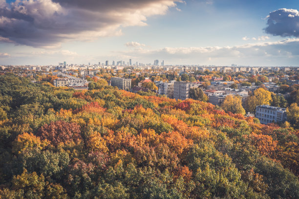 华沙的秋天，五彩缤纷的森林和遥远的城市中心鸟瞰图图片下载
