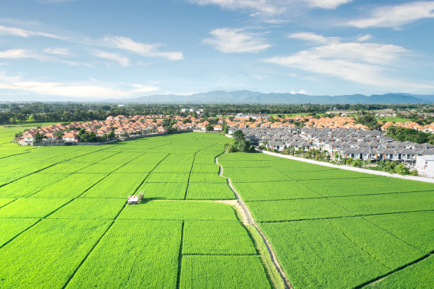 泰国清迈鸟瞰图中的绿地和房屋景观。图片下载