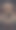 可爱的小狗图片下载