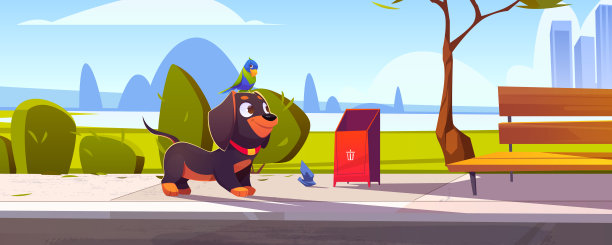 可爱的腊肠狗和鹦鹉坐在头上图片下载