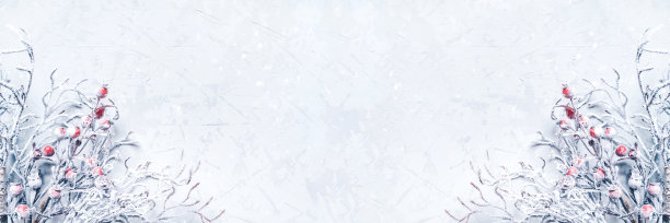 圣诞背景白雪覆盖的树枝上结满了浆果。图片下载