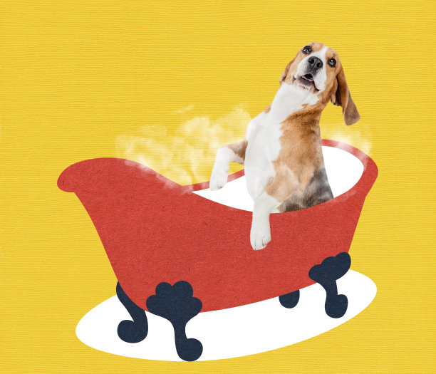 当代艺术拼贴，现代创意设计。理念，灵感，关怀，时尚杂志风格。狗狗洗澡图片下载