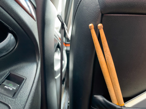 鸡腿在车里。图片下载