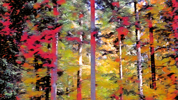 一个抽象形状和颜色的秋天森林的观点图片下载