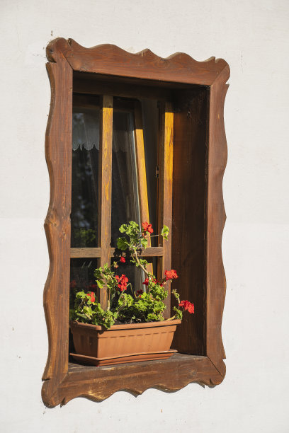 匈牙利Holloko村，古老农舍的木窗上插着五颜六色的盆花图片下载