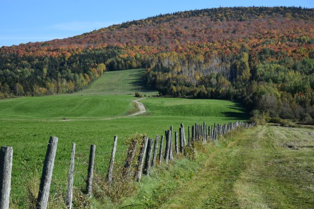 在秋天图片下载