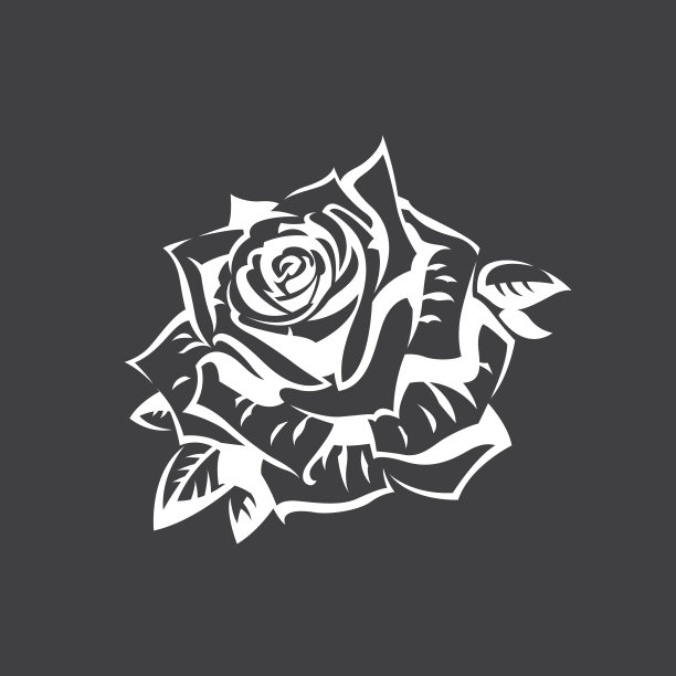 玫瑰花蕾的形象图片下载