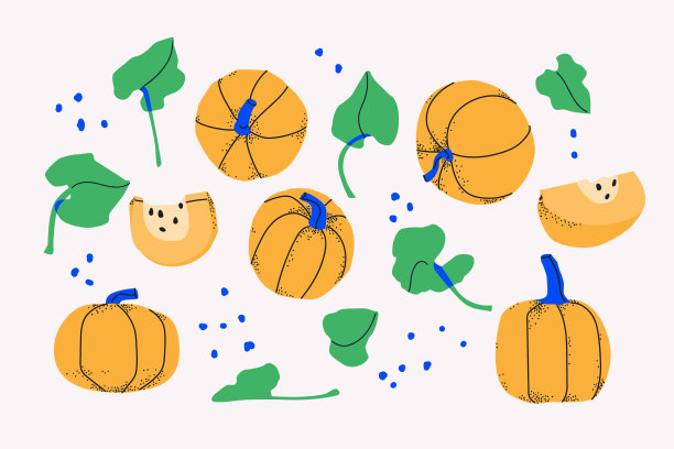 一套装饰性的黄色南瓜，切片和叶子。蔬菜被隔离在白色背景上。设计图片下载