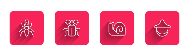 设线蚁金龟子蜗牛和养蜂人图片下载