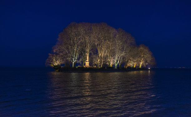 瑞士罗尔小镇上的哈佩岛(Ile de la Harpe)的浅色树木图片下载
