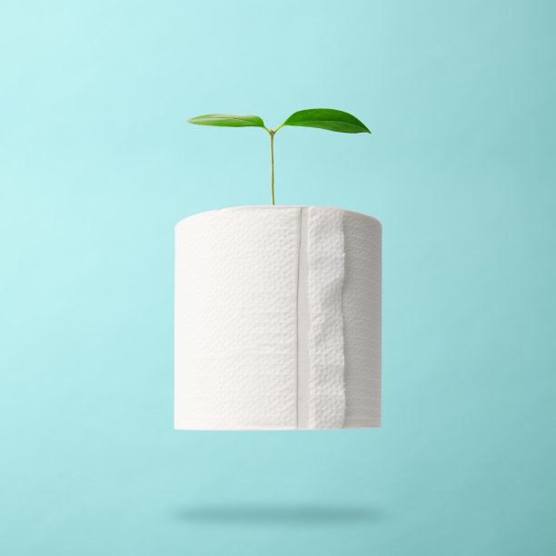 第一个萌芽来自漂浮在半空中的卫生纸。图片下载