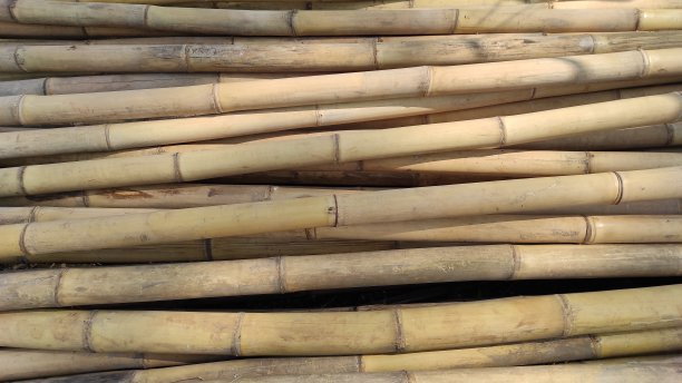 竹竿的纹理-库存照片图片下载