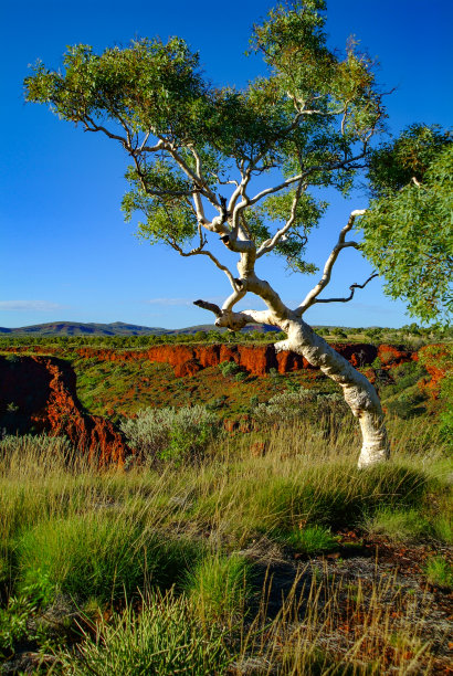 澳大利亚内陆地区风景图片下载