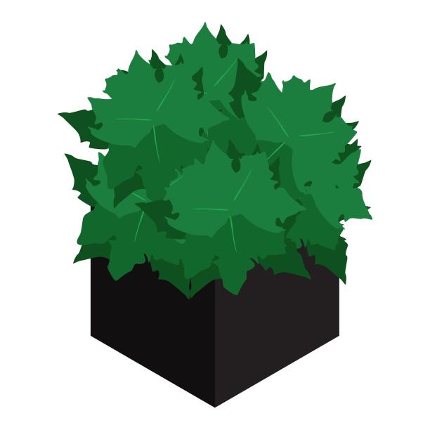 盆栽植物种植绿植游乐场绿色图片下载