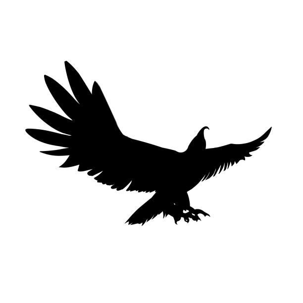 简约霸气黑色老鹰素材影子图片下载