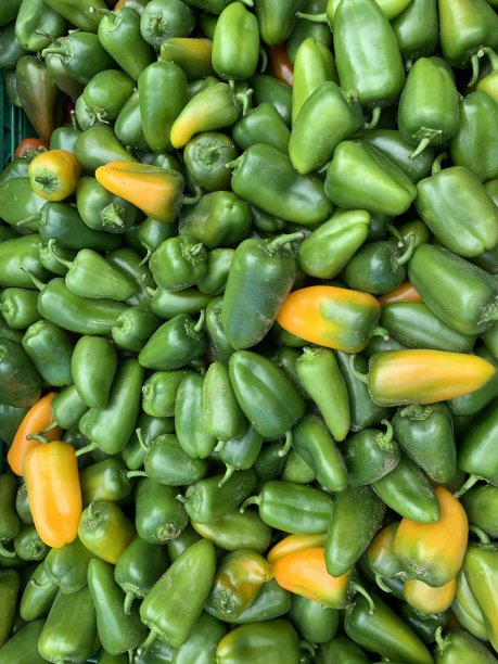 青椒-法国本地市场图片下载